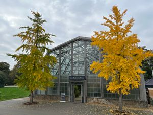 데이비스 탐험관