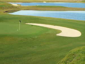 골프 코스 잔디로 사용됨