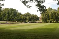 잔디가 깔린 공원