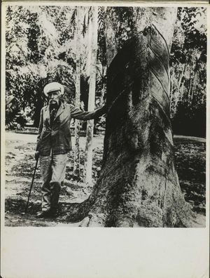 “Henry Wickham, who in 1876 directed an operation smuggling 70,000 rubber tree seeds”