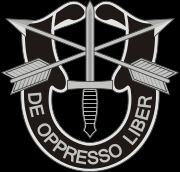 미 육군 특수 부대 부대 휘장