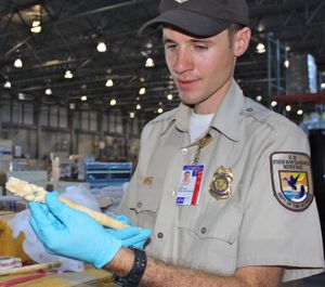 수입 조각상을 살펴보는 조사관