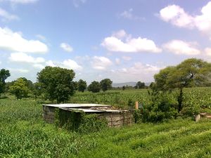 인도 마을 외곽 농장의 오두막