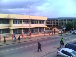 코포리두아의 대로