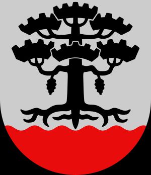 페테얘베시 문장