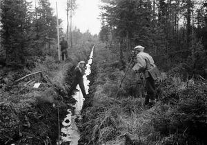 배수 작업을 한 숲