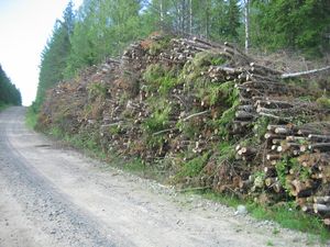 우드칩으로 만들 나무