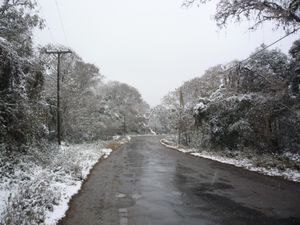 주도 56번 국도의 전경.