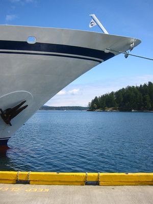 크루즈 선의 플레어 선수