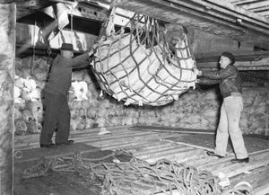 클랜 맥두걸(Clan McDougall)호에 영국으로 보낼 냉동 육류를 싣는 모습. 뉴질랜드 기록 보관소