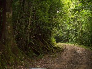 라방구로 가는 산호 도로. 2008년 촬영