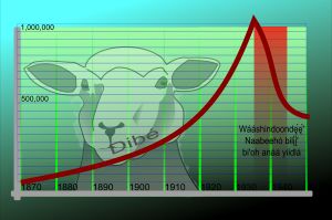나바호 네이션에 있는 양(Dibé)의 수