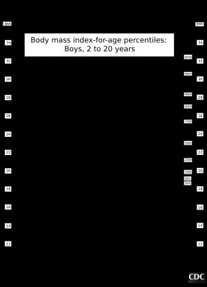2세에서 20세 사이 남자아이의 연령별 체질량 지수