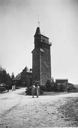 1932년에 촬영된 단츠 탑