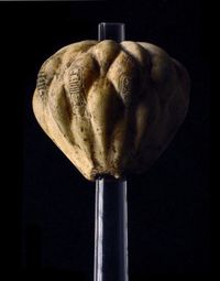 테티의 카르투슈가 새겨진 배 모양의 곤봉 머리, 임호테프 박물관.