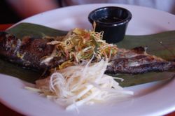 케임브리지, 매사추세츠에 있는 엘리펀트 워크 (Elephant Walk) 레스토랑의 송어 구이 (trey ang)와 코코넛-생강 소스.