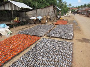 Psah Prahok}})에서 말린 샤크 미노우와 가물치