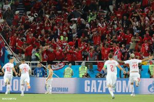 샤키리의 골을 축하하는 스위스 선수들과 팬들