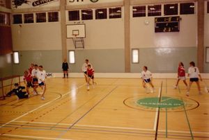 1990년의 플로어볼 경기