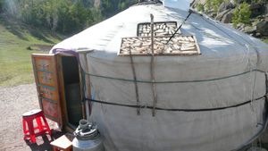 게르 지붕에서 아루울을 햇볕에 말리는 모습