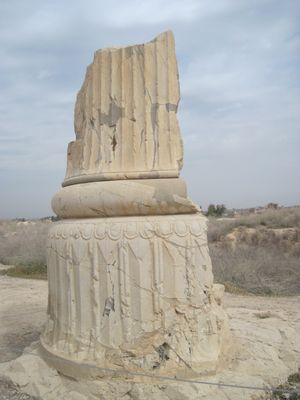 수사 아파다나 궁전 기둥