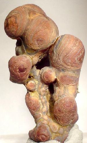 종유석-포도상, 줄무늬, "목재 주석" 석석, 5x, 두랑고, 멕시코