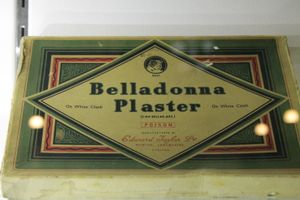 벨라돈나 석고 (헌터 박물관, 글래스고)