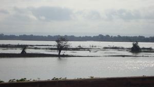 로코자의 나이저강