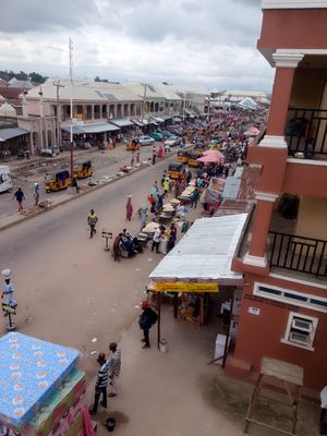 자링고 메인 마켓 타라바 주