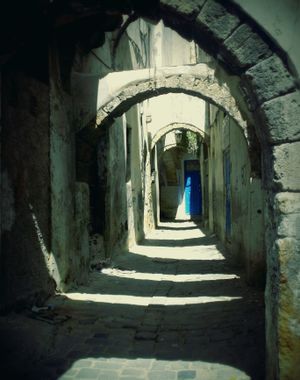 비제르테 메디나