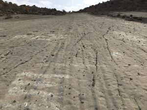 코이텐다그 구역의 공룡 고원