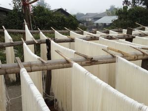 시포에서 햇볕에 말리는 쌀국수