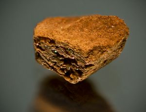 네스카페 인스턴트 커피 과립의 확대 사진