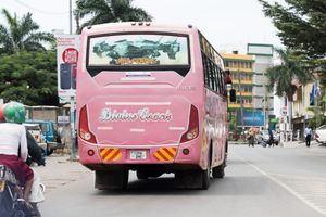 하이거 버스 (2020년)