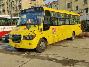 중국 상하이의 하이거 KLQ6756X 스쿨 버스