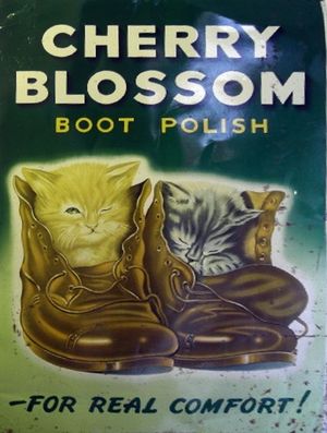 1930년대 체리 블라썸 구두약 영국 광고