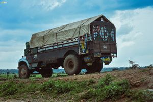 네르티티의 트럭