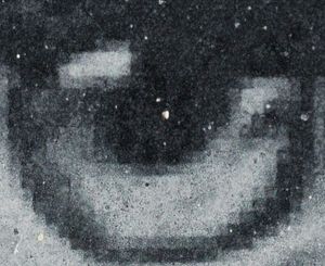 킨들 3 화면의 확대 사진; 마이크로캡슐이 보임