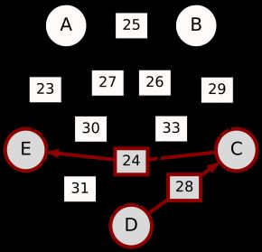 D-(28)-C-(24)-E