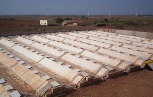 인도 사타파르의 응축기는 11개의 능선으로 구성되어 있다.