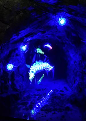 동굴 속 물고기 조각