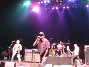 디센던츠는 1980년대에 멜로딕 하드코어와 팝 펑크 양쪽에 중요한 영향을 미친 밴드이다.