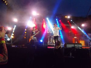 Blood Youth는 2014년에 결성된 현대 멜로딕 하드코어 밴드이다.