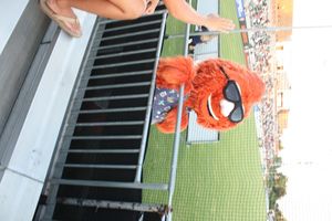 2024년 8월 경기 중 구장을 돌아다니는 Gnarley