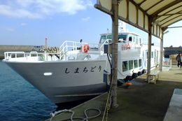 1946년 하라다 사다이치가 시작한 목조 화객선 "하라다마루"는 이후 누시마 기선의 원형이 되었다.