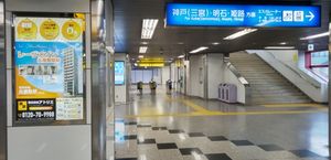 콩코스(2023년 1월 촬영)