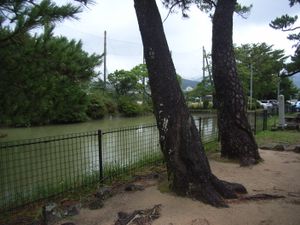 명륜관 수련지(연못).