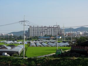 왕송제에서 바라본 삼정 그린뷰