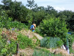 입북동의 소규모 농지에서 일하는 농부
