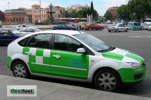 포드 포커스 플렉시퓨얼은 유럽 시장에서 상업적으로 판매된 최초의 E85 가변 연료 차량이었다.